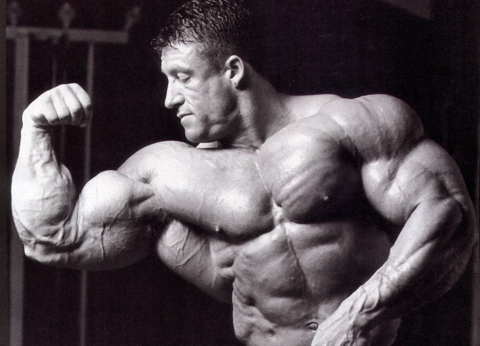 Bodybuilding Books For Men Free Download