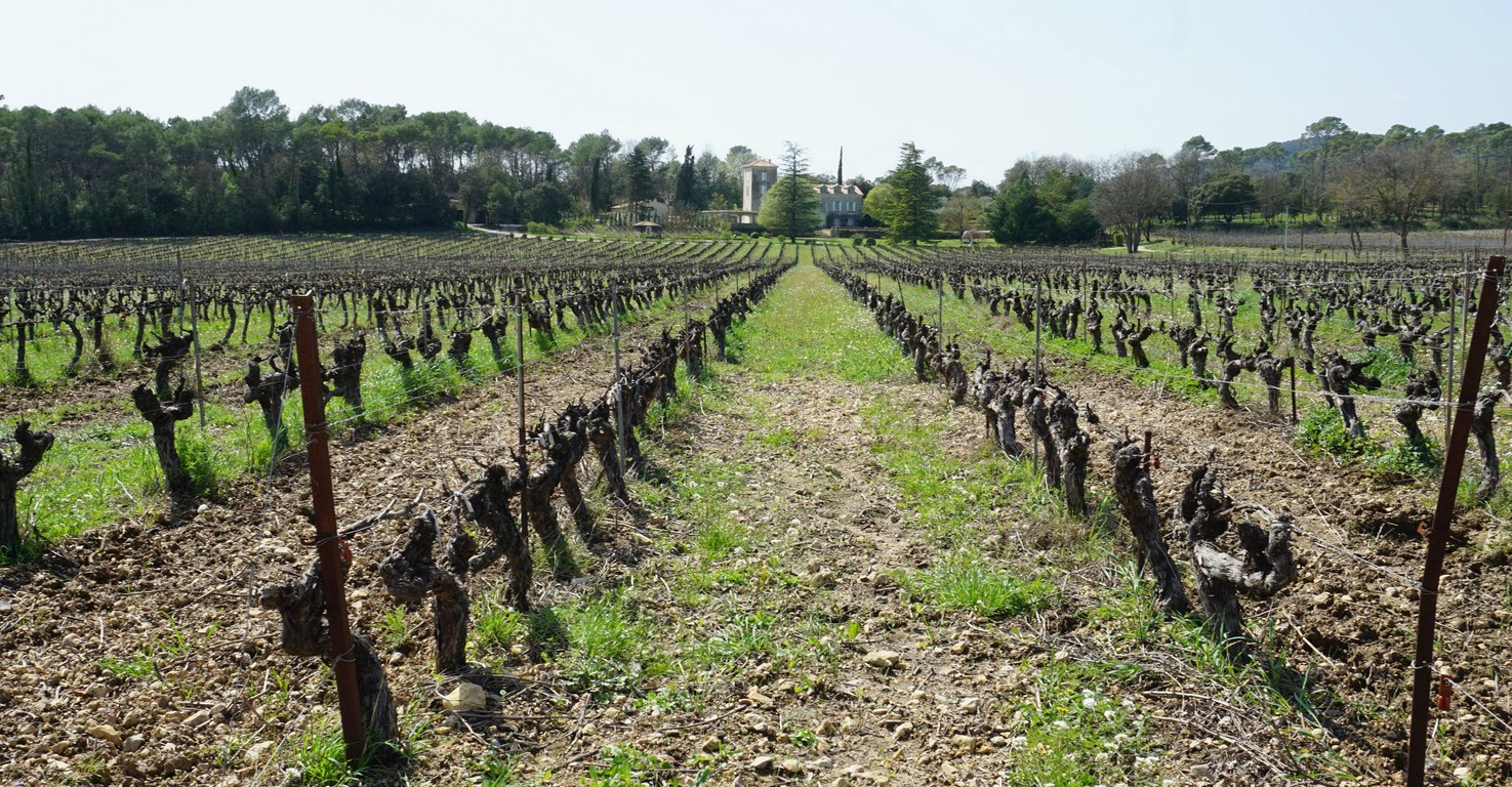 Vineyards-and-Chateau-Roubine