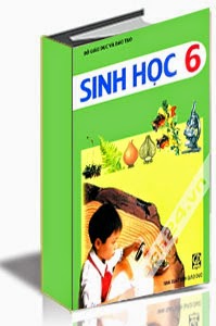 đề thi học kì 1 môn sinh lớp 6