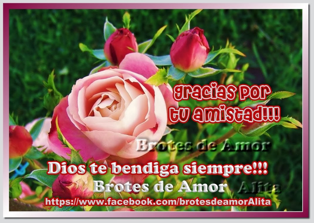 Frases en imagenes Gracias por tu amistad - imagenes amistad gracias amiga