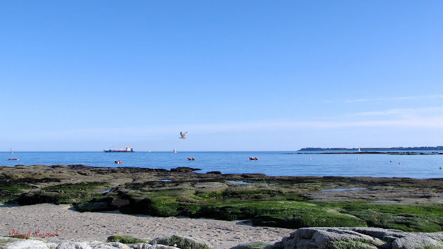 Plage de Kerpape-Bretagne Franta