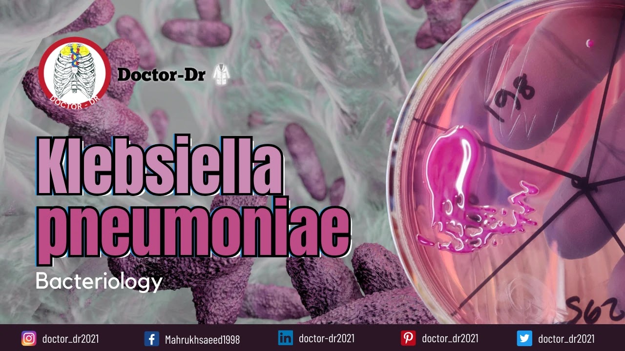 Klebsiella pneumoniae: Pathogenic Mechanisms and Clinical Implications
