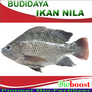 https://bioboostsakti.blogspot.co.id/p/bududaya-ikan-nila.html