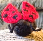 http://translate.google.es/translate?hl=es&sl=en&tl=es&u=http%3A%2F%2Fwww.chemknits.com%2F2012%2F03%2Famigurumi-ladybug-flying-version.html