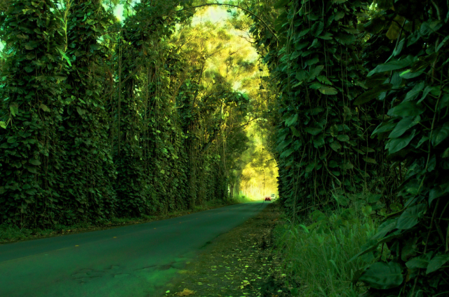 Awesome tunnels created by nature