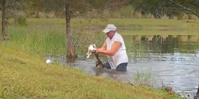 Pria ini Menarik Buaya Keluar Dari Air Dan Membuka Rahangnya Untuk Menyelamatkan Anjingnya