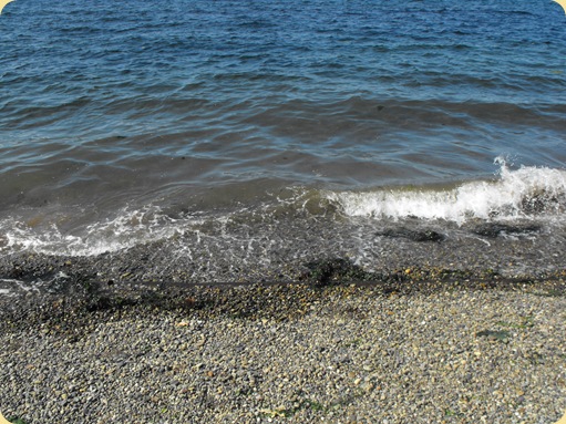 Steilacoom, WA 124