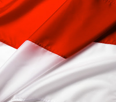 indonesian flag. indonesian flag 2011.