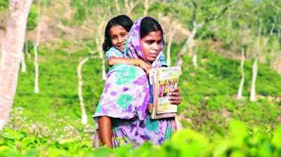 পাকিস্তানকে পেছনে ফেলে এগিয়ে বাংলাদেশ