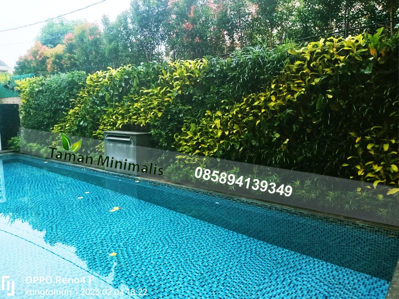 Jasa Taman Vertical Garden Alam sutera