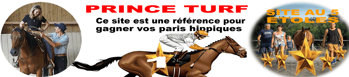 PRINCE TURF