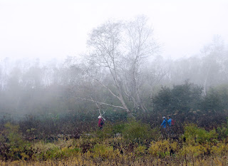 霧の栂池高原　写真