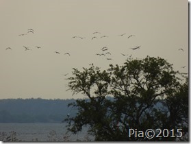 P1080544