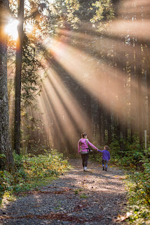 A mother and girl take a walk to connect among the trees