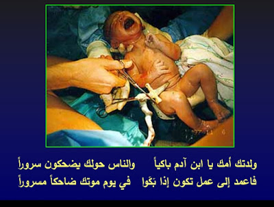 رحله مذهله مع خلق الانسان