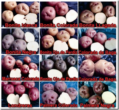 papas