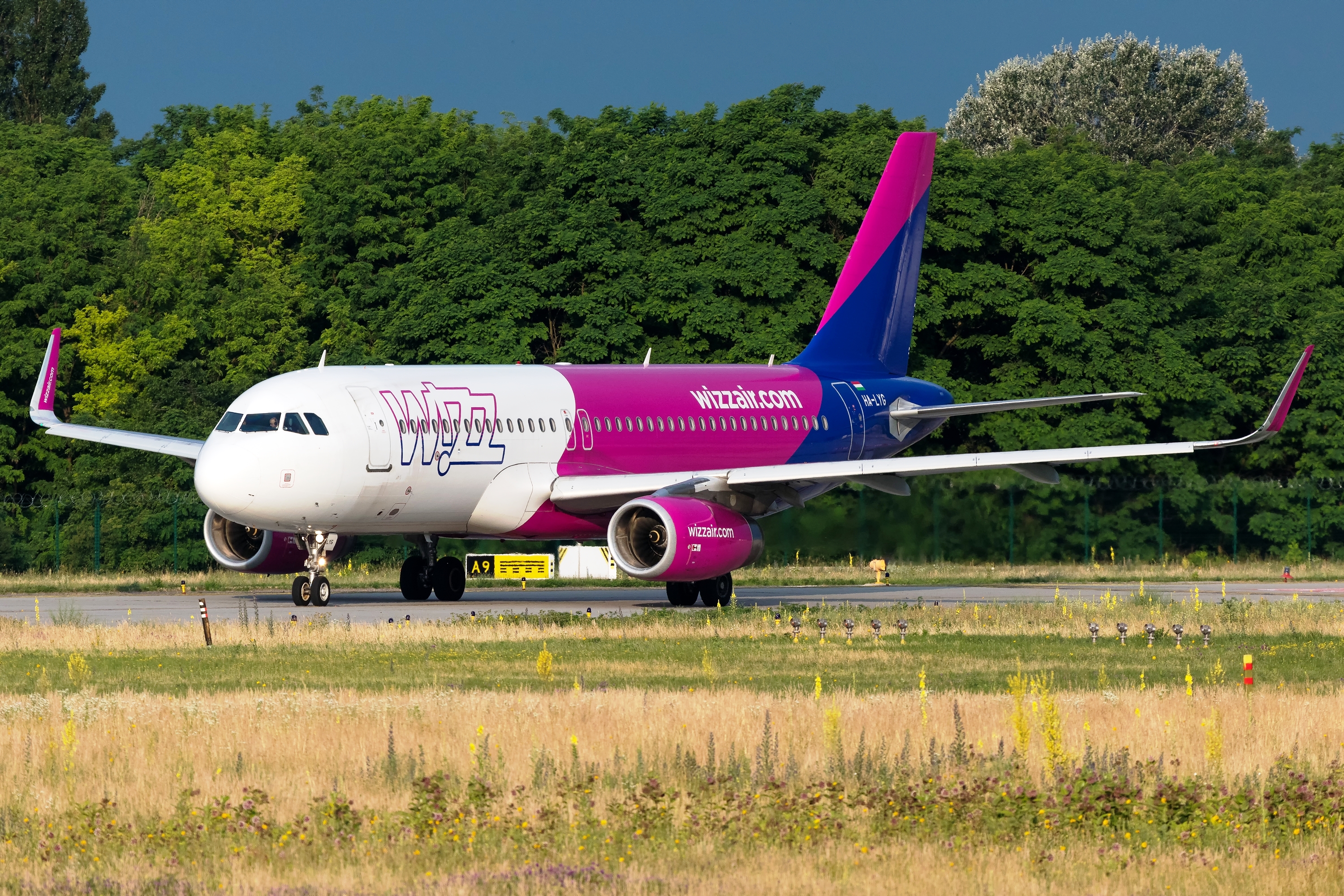 regional dvs. Velkendt Wizz Air to reinstate entire Skopje network