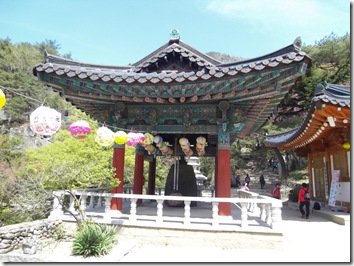 SDC10785
