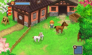 Harvest Moon: The Tale of Two Towns NDS Rom