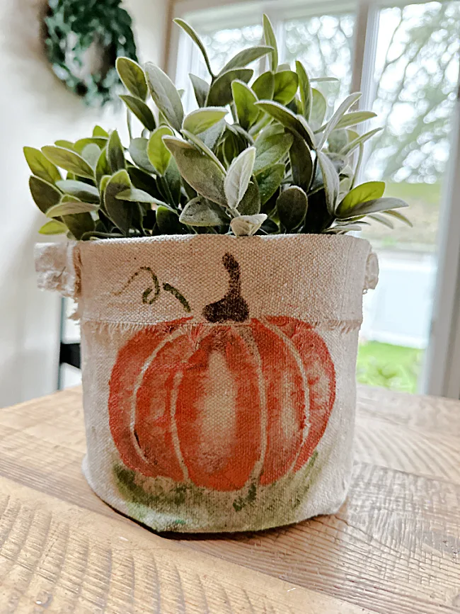 plant in pumpkin bucket