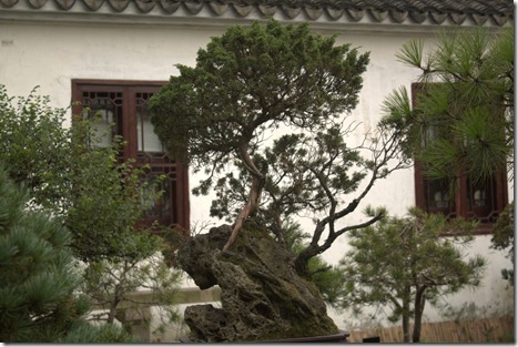 12 08 China (147)