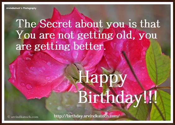 Happy Birthday, Card, Secret, about you, Getting, Better, Old, ROse Card, Birthday