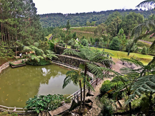 Dahilayan Pond and Lagoon