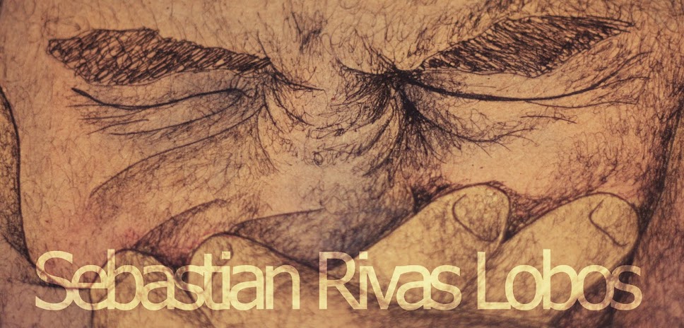 Sebastian Rivas Lobos