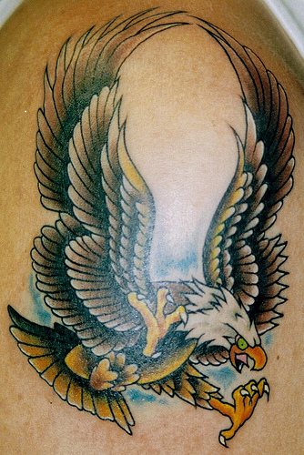 tattoo shops are full of images of the majestic eagle in varying poses