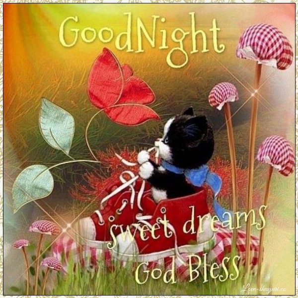good night couple pic