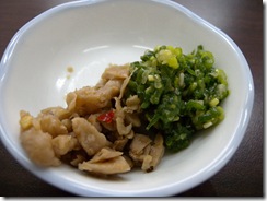 DSCN0532
