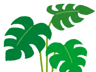 フリー 南国 植物 イラスト 250786-南国 植物 イラスト フリー