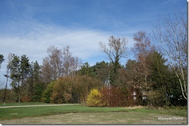095-DSC00524