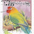 1999 - Afeganistão - Agapornis fischeri 