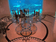 . ribu ekor,selain itu terdapat akuarium lumbalumba lebih dari dua lusin . (atlantis hotel )