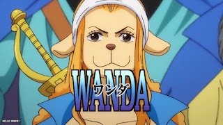 ワンピース アニメ ミンク族 ワンダ ONE PIECE WANDA