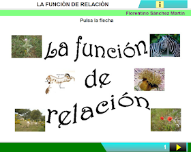http://ceiploreto.es/sugerencias/cplosangeles.juntaextremadura.net/web/curso_3/naturales_3/la_relacion/la_relacion.html