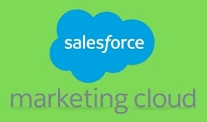 Salesforce Campaign Management Software