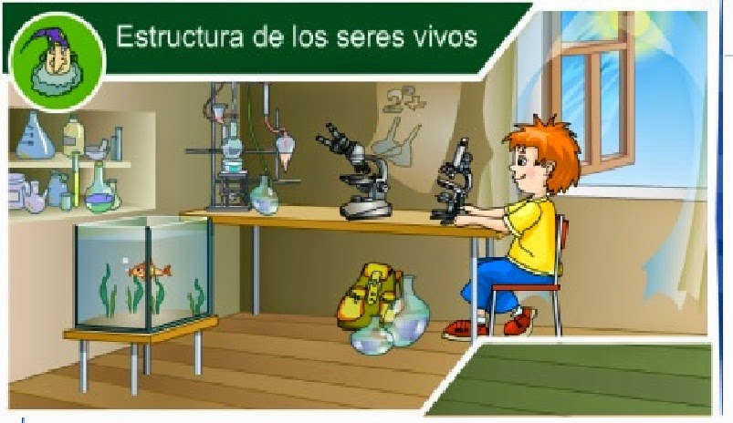 http://ares.cnice.mec.es/ciengehi/b/01/animaciones/a_fb12_00.html