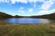IMG_4649