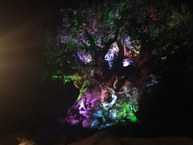 Tree of Life at Night Disney's Animal Kingdom Walt Disney World