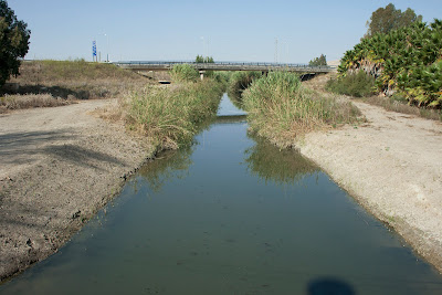 Autovía Jerez - Arcos. Puente sobre el Salado. (septiembre 2011)