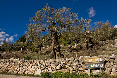 Binibona Caimari guillaume lelasseux 2010