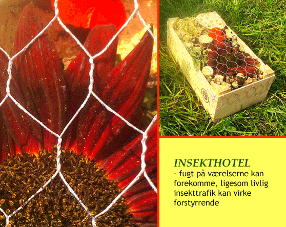 DIY Insekthotel