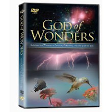 God of Wonders