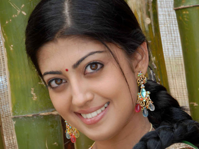 pranitha saree , pranitha new in saree cute stills