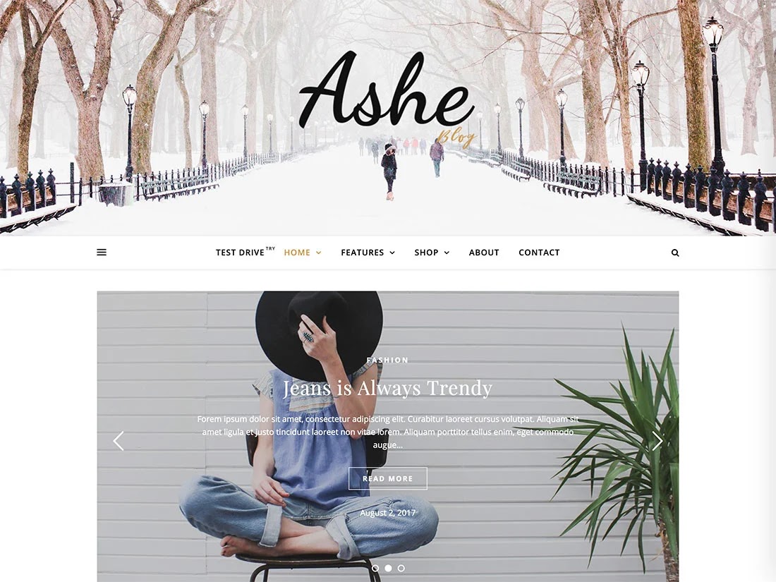 Ashe Wordpress Theme
