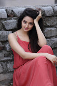 Shanvi latest Portfolio Photos-thumbnail-20