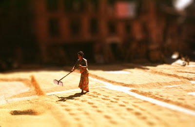 A Miniature World