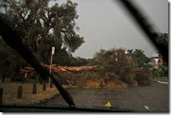 OK, this was not on Warwick road but it gives a pretty good idea...